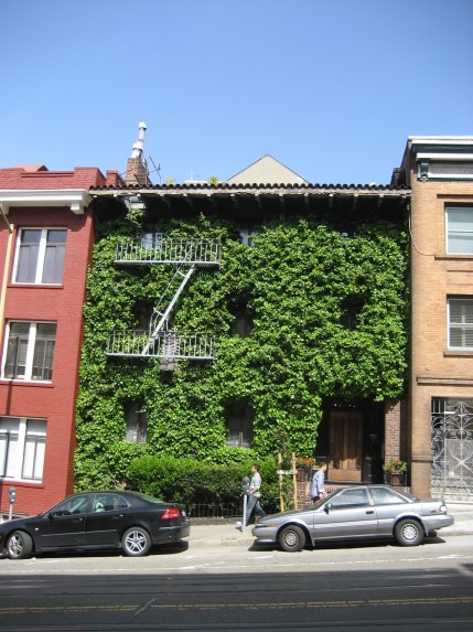 © 2012 S. D. Stewart, Ivy-covered house in Chinatown, San Francisco, California